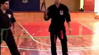Kenpo Karate  (O ser humano por trás da Arte) Kenpo Brazil.
