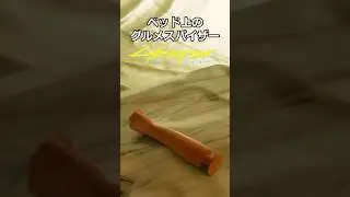 ベッド上のグルメスパイザー：強奪の紺碧プラザ