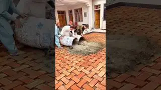 Why these houses courtyard last for 100 years? #shortsvideo