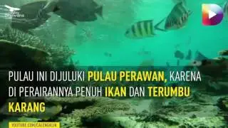 Spot Snorkeling Terbaik di Kep. Seribu
