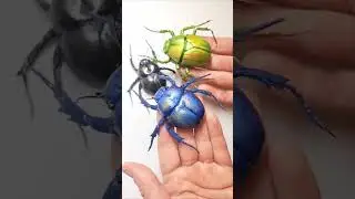 Dug Beetle. Handmade