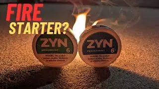 Don't Throw Away ZYN Cans — Do This Instead