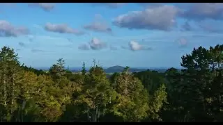 Kaiatea 2019