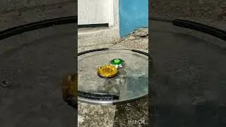 #beyblade #twistedblader #twistedtempo #letitrip #goshoot #collector #midfakebeyblade