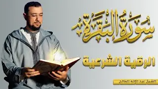سورة البقرة + رقية شرعية I طرد الشياطين من البيت I تلاوة هادئة تريح الاعصاب وتهدئ النفس ❤