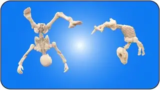 Double Skeleton Backflip - a stop motion animated short film