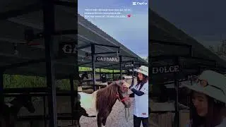 Ch&uacute; ngựa xinh đẹp ở vietgangz horse club #shortvideo #shots #leenabi