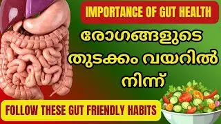 Foods to Improve Digestion | Gut friendly food malayalam