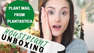 HOUSEPLANT UNBOXING | PLANTY YOUTUBER MAIL | 3 NEW HOUSEPLANTS | New Plants | Houseplant Haul | 2020