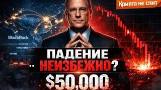 Биткоин 50 000 или Новый ATH? Крупные игроки сделали ставку | Крипта не спит 13.02.26
