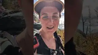 Te Araroa Day 66 - 13 December 2024 - 16km #thruhike #newzealand #teararoa