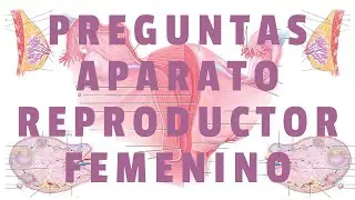 ♀️ Preguntas de Aparato Reproductor Femenino &ndash; Preu USFX 📝 | Rocha Emerson | ZRX