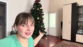 Домашний борщ в морозный день + наш ремонт, любуюсь геранью и Бароном. ИЗ ГОРОДА В ДЕРЕВНЮ ПЕРЕЗАГР