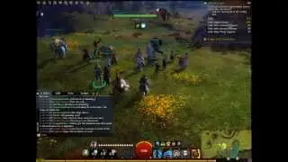 Guild Wars 2 Tarnished Coast GM