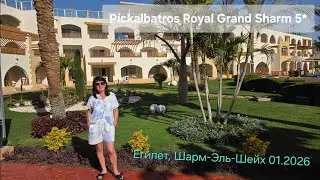 Pickalbatros Royal Grand Sharm 01.2026 Египет, Шарм-Эль-Шейх