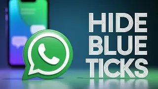 How To Hide WhatsApp Blue Ticks With Just A Click