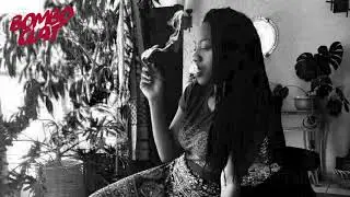 Tribal Seeds ft Hempress Sativa - Wicked & Riled