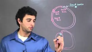 The Mechanism of Prokaryotic DNA Replication Initiation : Biology & DNA