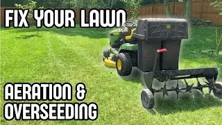 How to Aerate & Overseed Your Lawn 🌱 Fescue Grass Care (Step by Step)