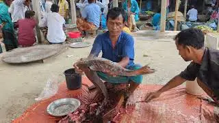 &ldquo;Extreme Fish Cutting Skills 🔪 | Ultra Satisfying Seafood Cutting Video 2025&rdquo;
