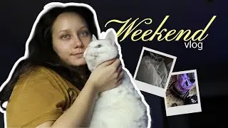 WEEKEND VLOG | живу у брата, домашняя рутина 