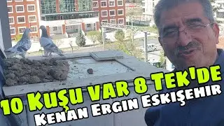 10 Kuşu Var 8'i Tekde. Kenan Ergin Eskişehir