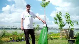 Water like a Pro. Bew&auml;sserung mit dem Treegator!