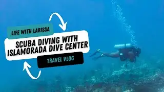 Diving into the Florida Keys | Islamorada Scuba Vlog