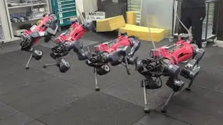 Rethinking Robustness Assessment: Adversarial Attack on Learning-based Quadruped Locomotion Control
