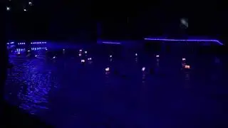 Aquanuts