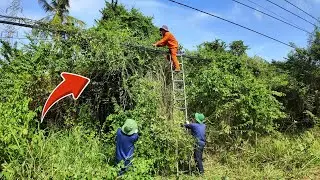 ENTANGLED VINES &mdash; The Rescue of a House ABANDONED for 10 YEARS