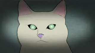 Why do cats' eyes glow? - A Lion in Your Living Room Tale