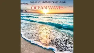 Soothing Ocean Waves At The Baltic Sea