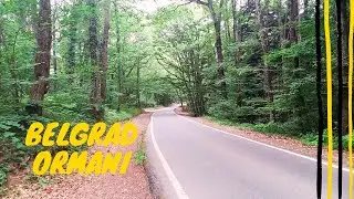 #Belgrad_Ormanı ISTANBUL CALM WALKING TOUR IN Belgrade Forest