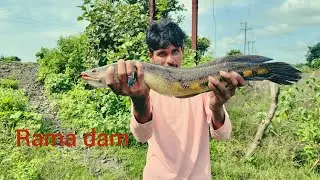 Snak heat fishing at Rama dam ,,,,, दो दिन की मेंनत के बाद मिले ये मरल,,,,,,