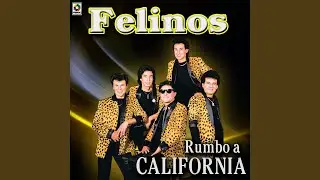 Punk De Rancho