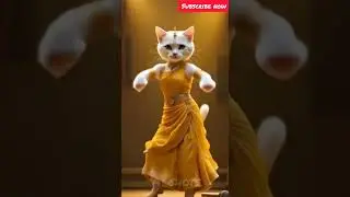 Luxury Cat Dance 💃 | Internet Can&rsquo;t Handle This Royal Viral Cat Performance 🐾🔥 #shorts #cat