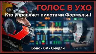 Is a pilot just a passenger? Who REALLY drives an F1 car?