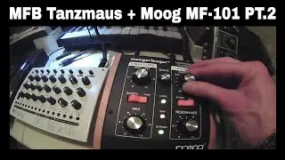 MFB Tanzmaus & Moog MF-101 Pt.2 (no talking, just sound)