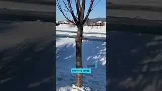 Свекруха випадково це зробила