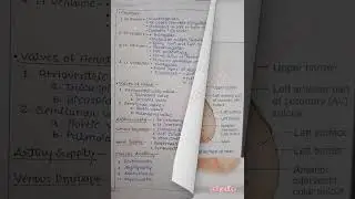 Heart | one page anatomy|MBBS|#easyanatomy|#viral| Heart anatomy