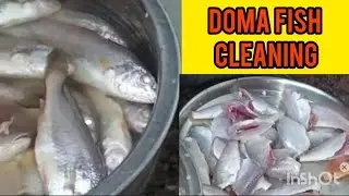 Doma Fish Cleaning Tutorial 🐟🔪 Step-by-Step Guide