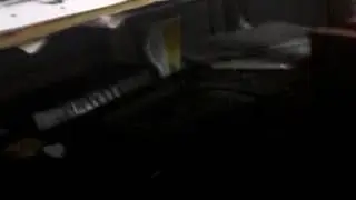 Non human entities trying to haunt me and shape shift from creature to creature