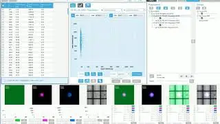 DEPArray NxT Graphical User Interface