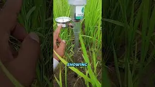 Tensiometer Explained: Smart Soil Moisture Monitoring for Farmers 🌾