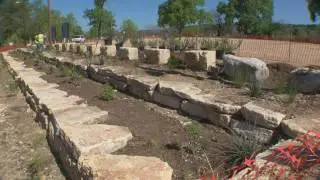 Emma Long Park Shoreline Improvements &ndash; Planting Native Vegetation