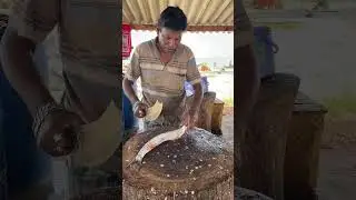 Wow! Amazing Fast Fish Cutting Skills