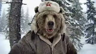 Misha the Bear &mdash; Real Life Vlog