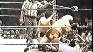 Madison Square Garden - Luke Graham vs Dino Bravo