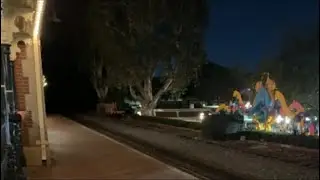 Riding the Sweeper train at Disneyland